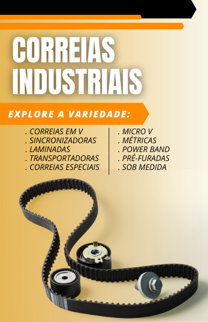 5 - Correias